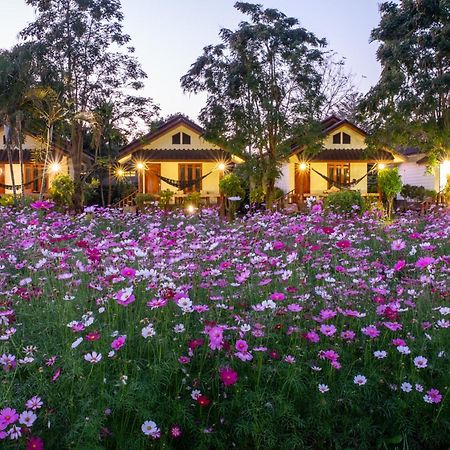 Hotel The Nest House Pai Exteriér fotografie