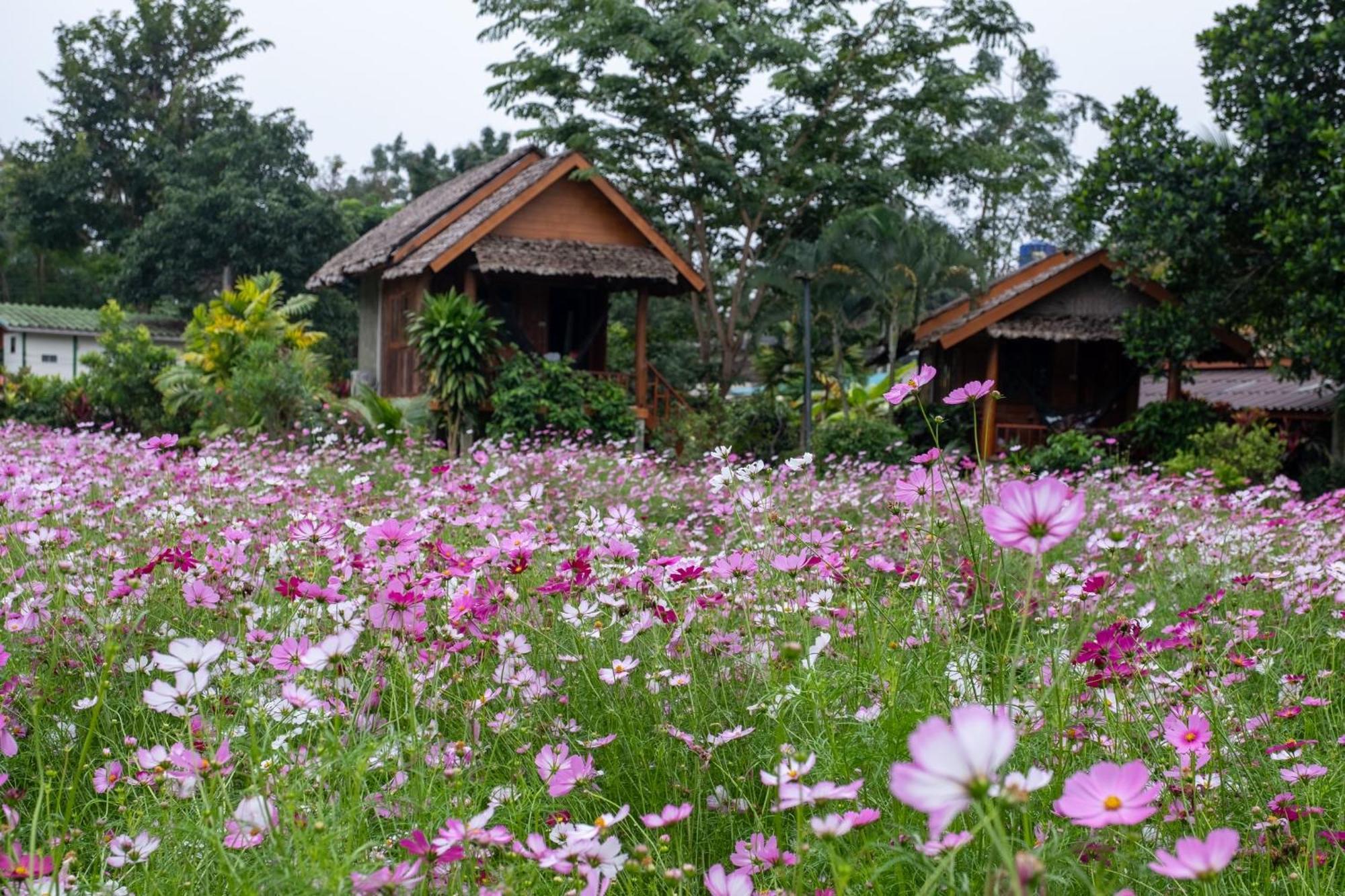 Hotel The Nest House Pai Exteriér fotografie