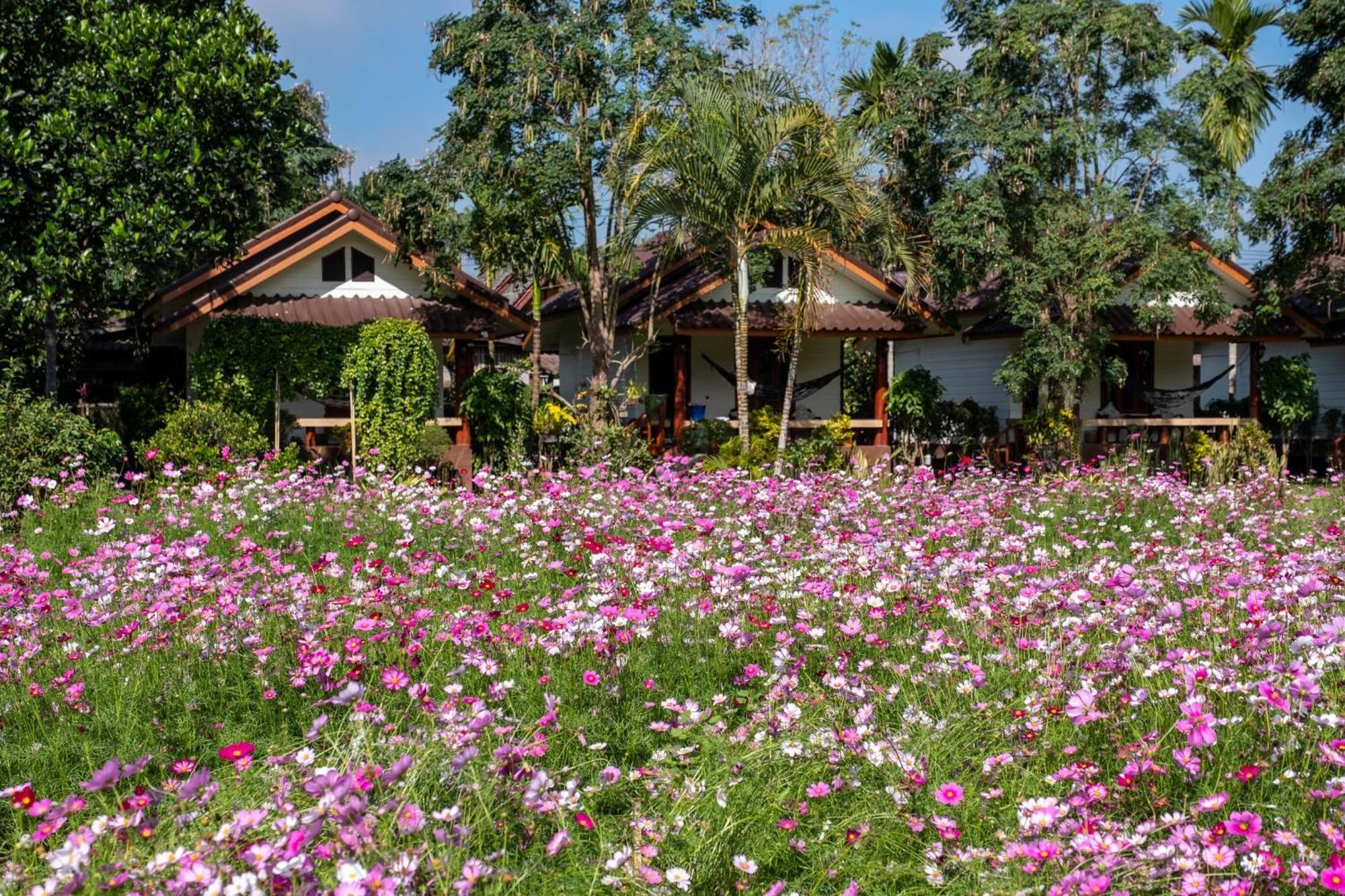 Hotel The Nest House Pai Exteriér fotografie