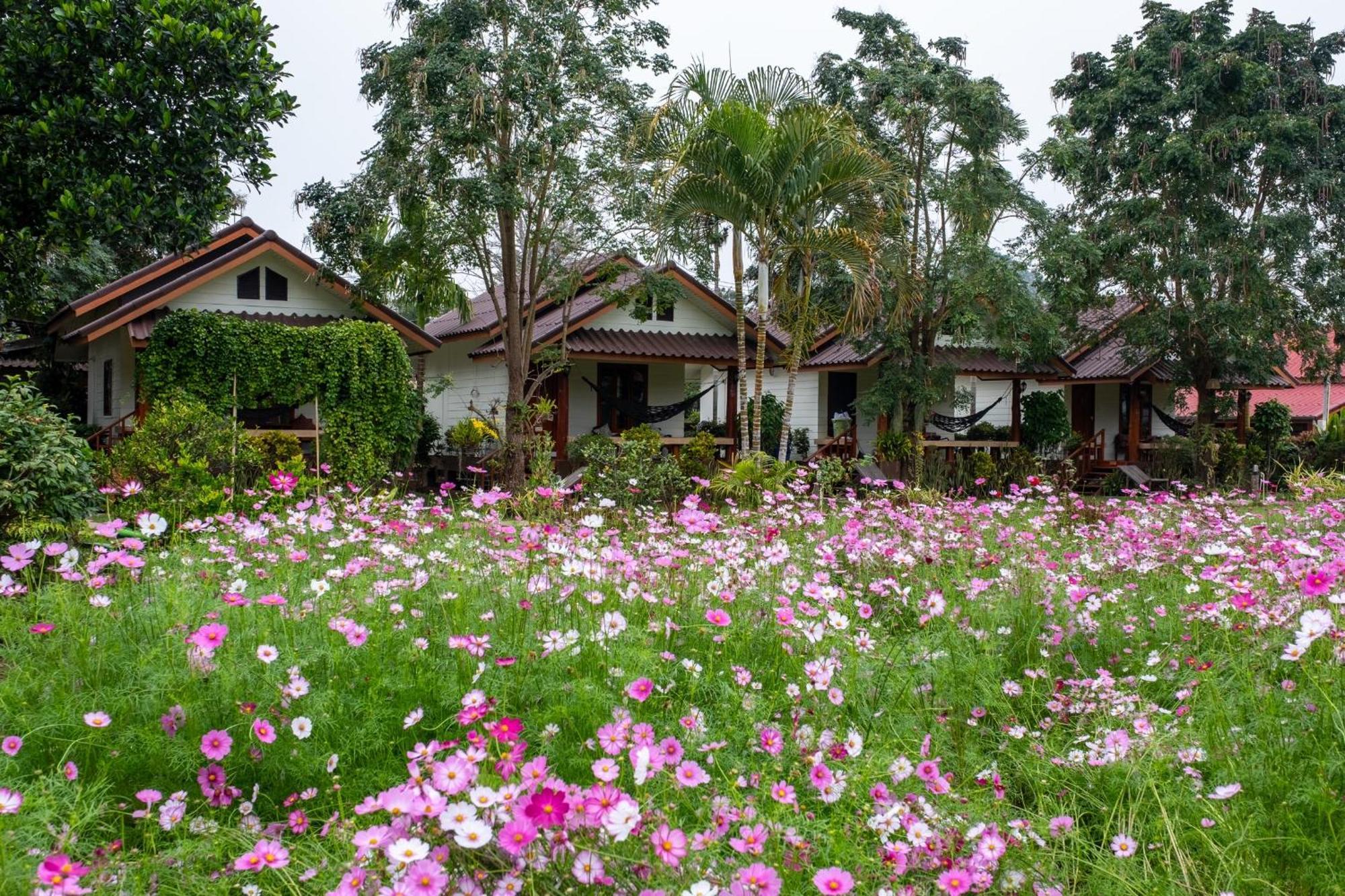 Hotel The Nest House Pai Exteriér fotografie