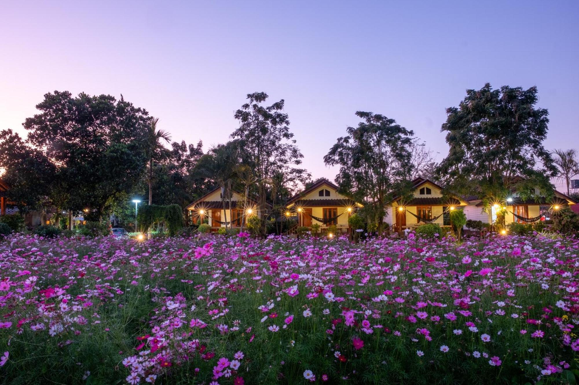 Hotel The Nest House Pai Exteriér fotografie