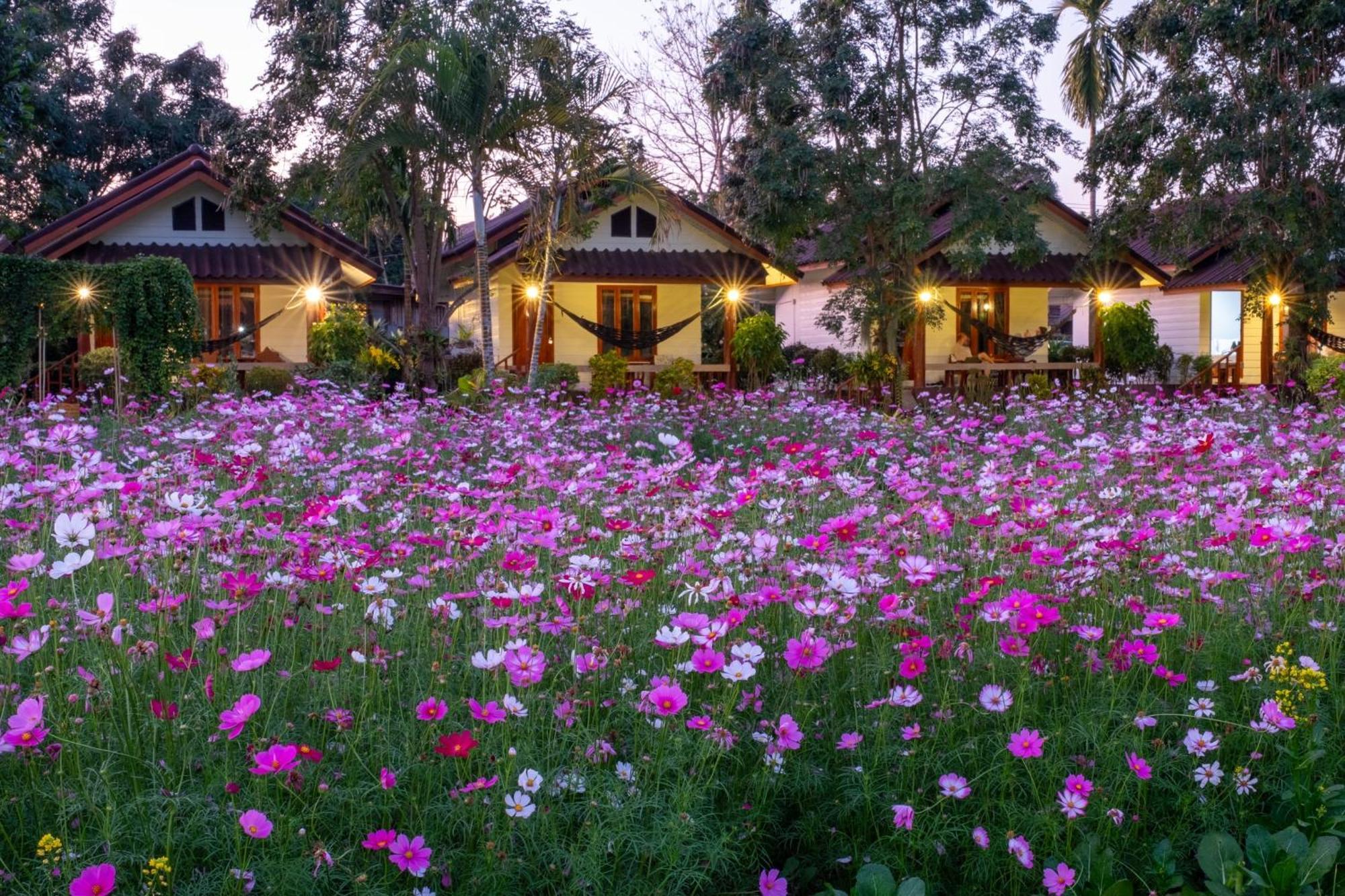 Hotel The Nest House Pai Exteriér fotografie