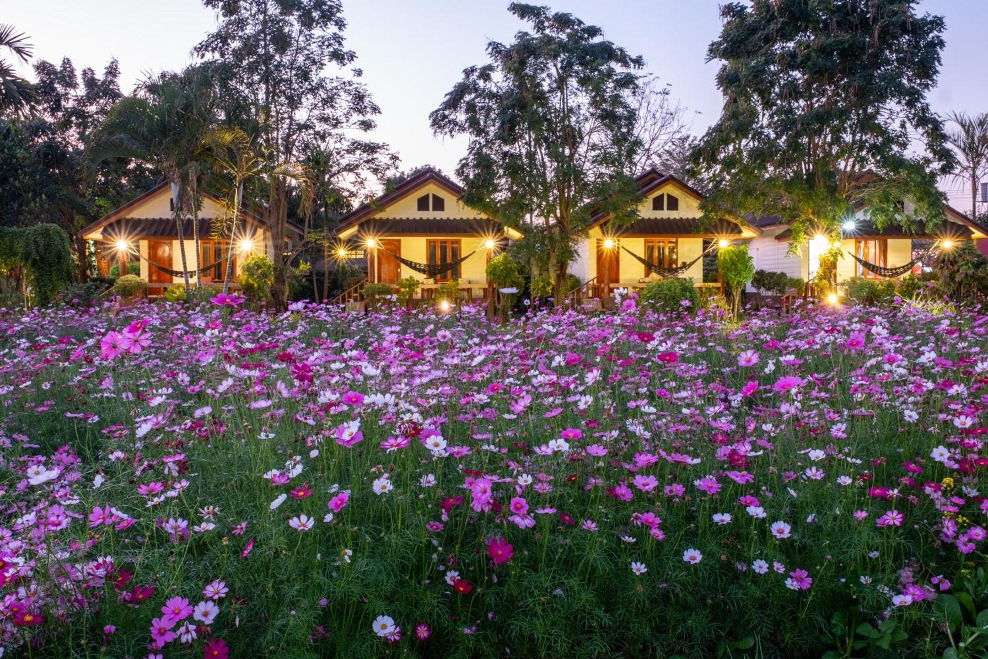 Hotel The Nest House Pai Exteriér fotografie