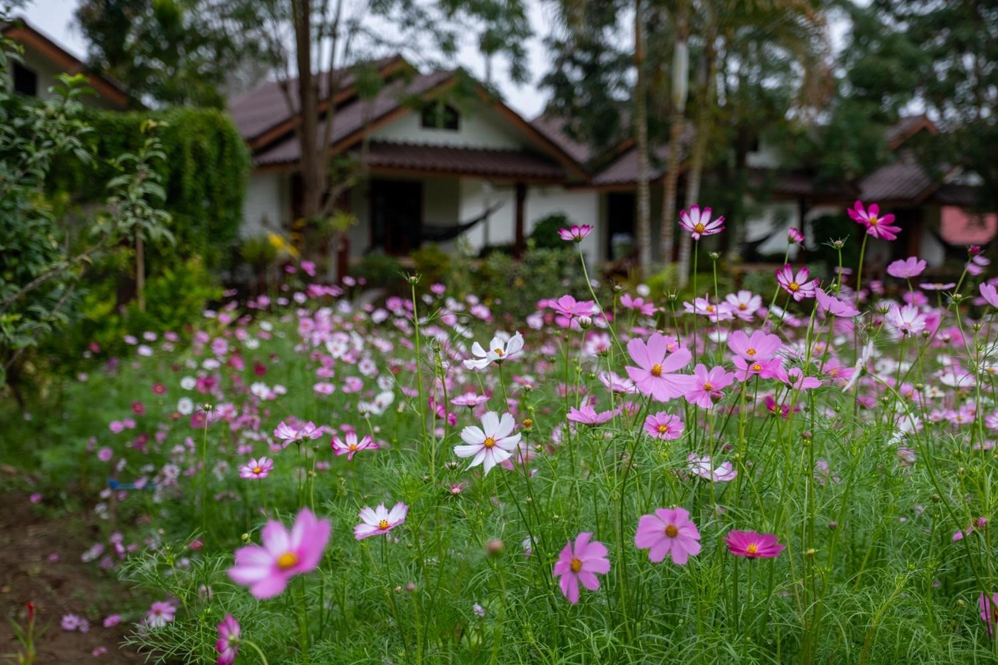 Hotel The Nest House Pai Exteriér fotografie