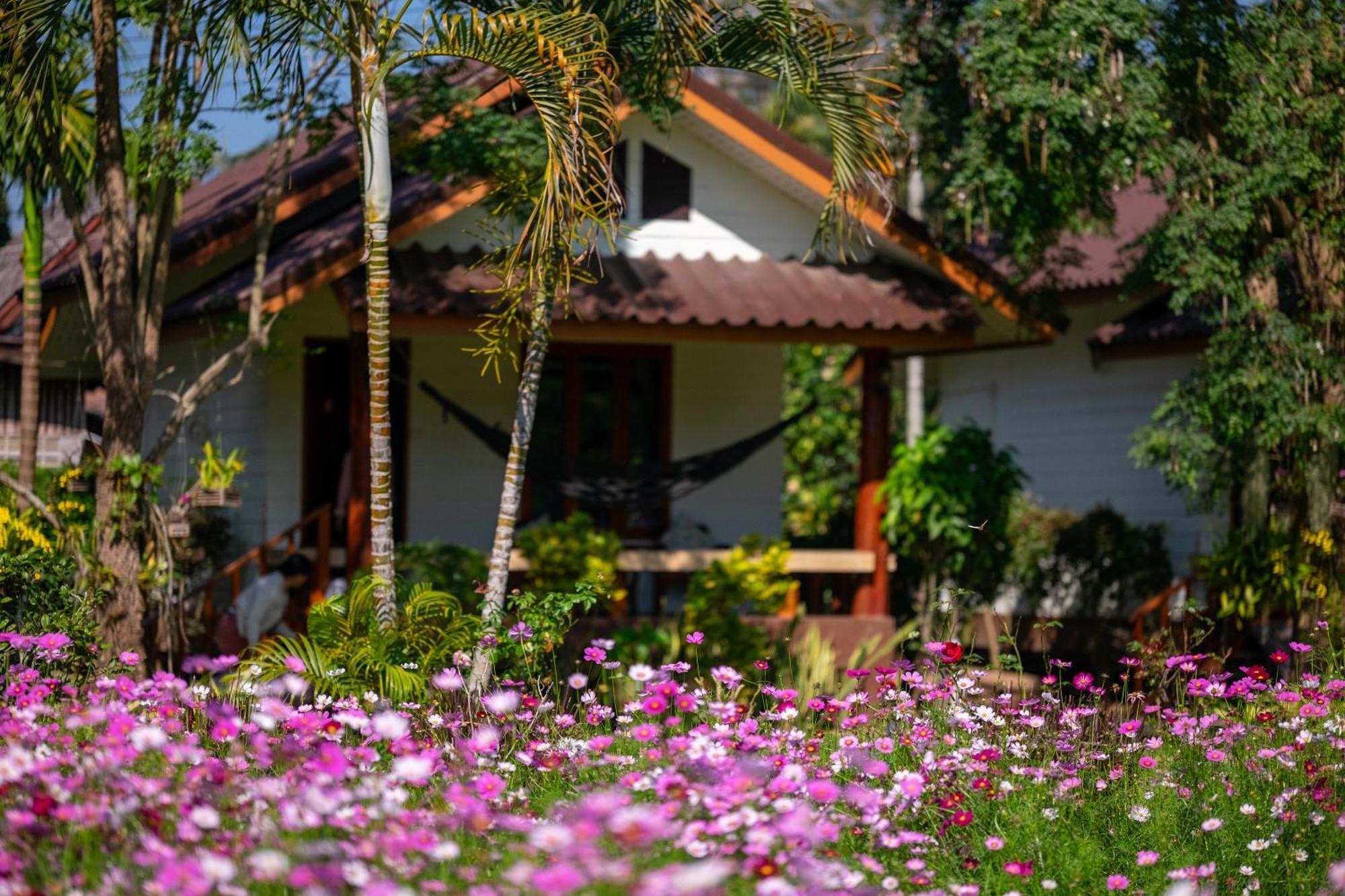 Hotel The Nest House Pai Exteriér fotografie