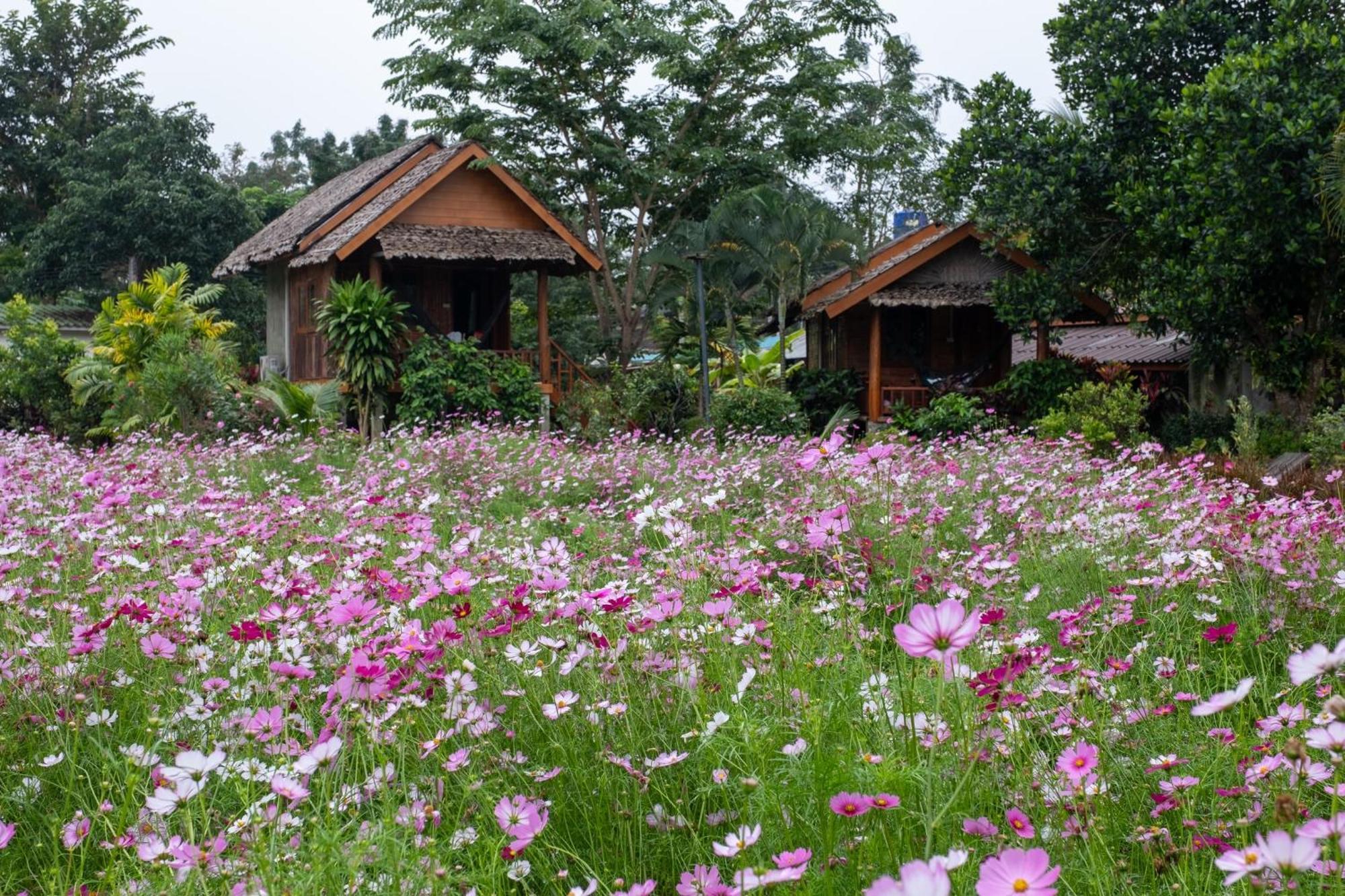 Hotel The Nest House Pai Exteriér fotografie