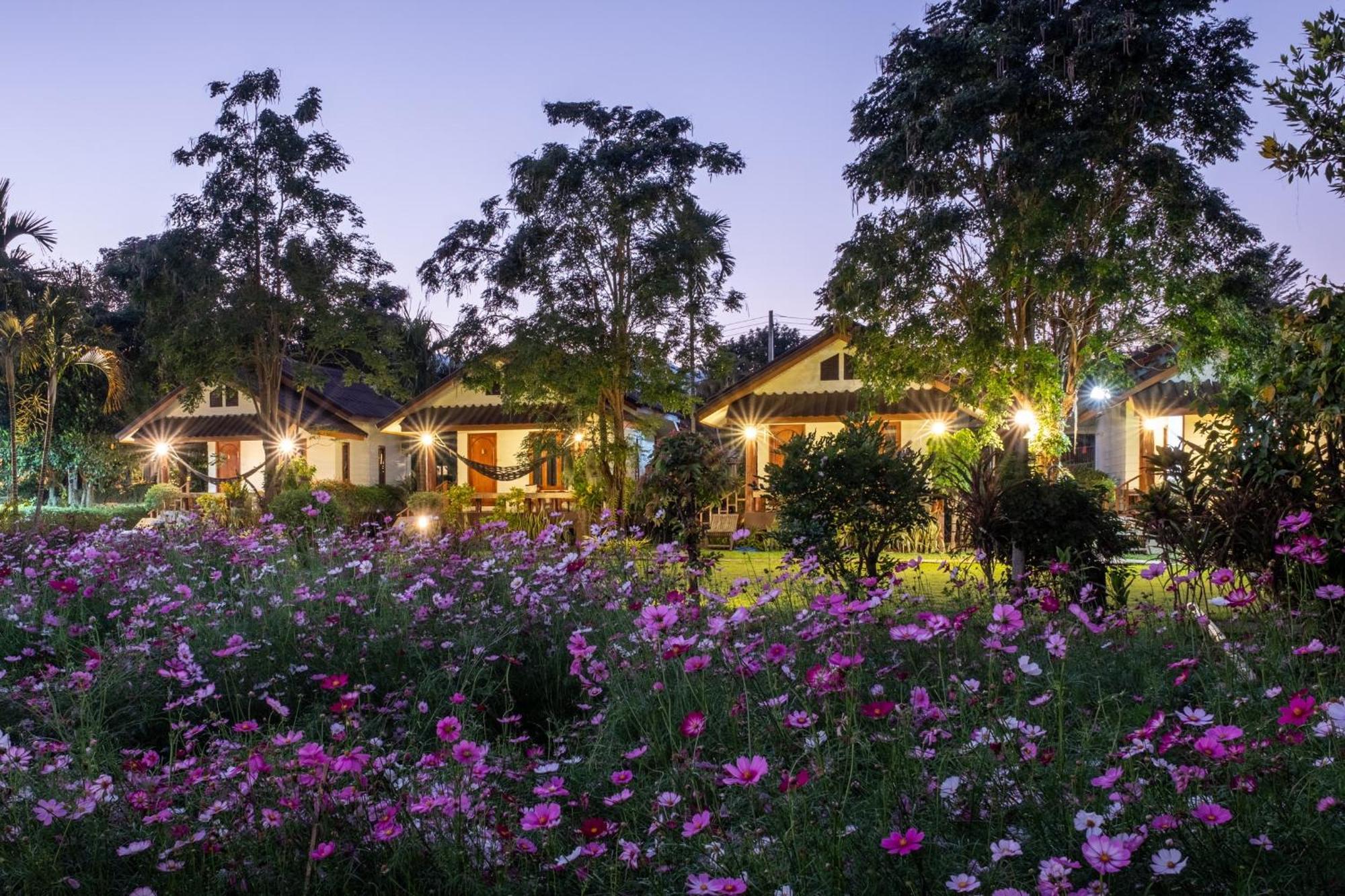 Hotel The Nest House Pai Exteriér fotografie